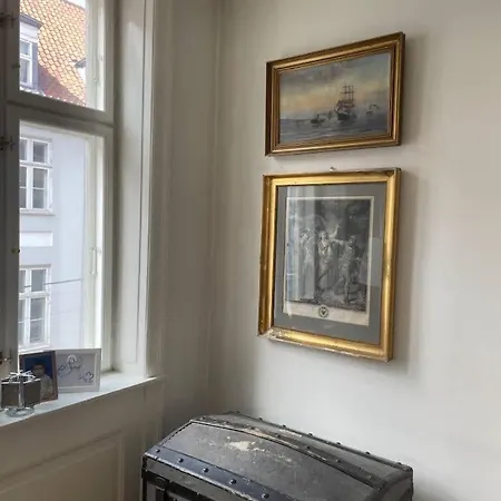 3br In Cph Center *