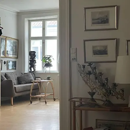 Lejlighed 3br In Cph Center